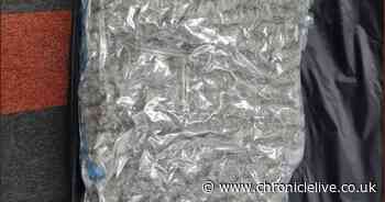 Man arrested after 11kg of suspected cannabis found stashed in bags at Newcastle Central Station