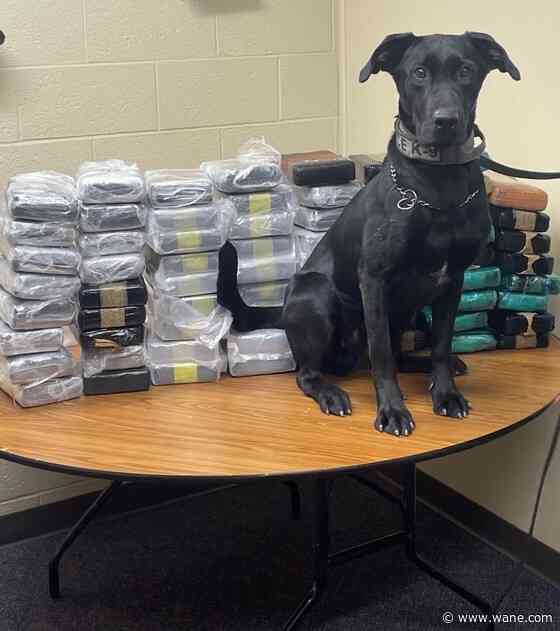 K-9 sniffs out 154 lbs. of cocaine in sleeper cab after trucker pulled over on I-70 in Indiana