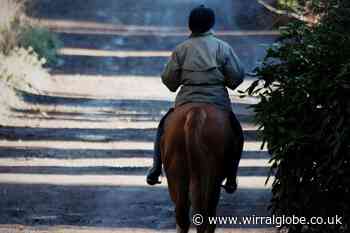 Wirral: Number of road incidents involving horses revealed