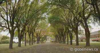 Family Day family vacation ideas