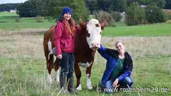 Hofübernahme mal anders: „Wir werden keine Milch oder Fleisch produzieren“