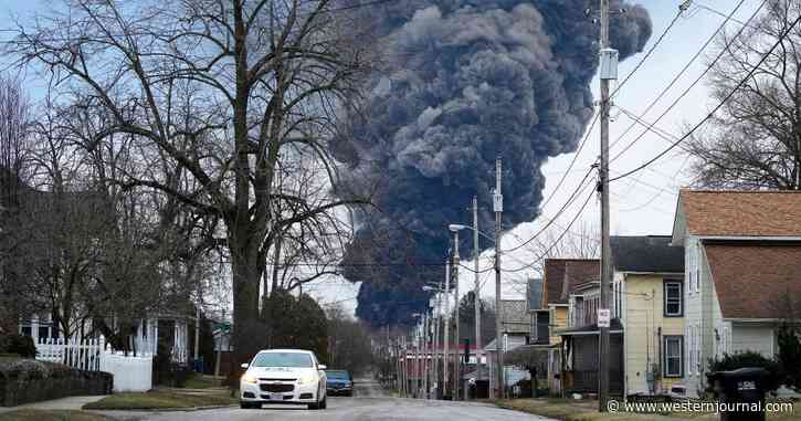 Something Is Happening Near Toxic US Derailment: Animals Getting Sick and Dying as Officials Claim Everything Is Fine