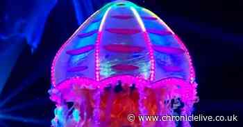 Masked Singer's Jellyfish identity theory 'ignited' by one word link to Glee