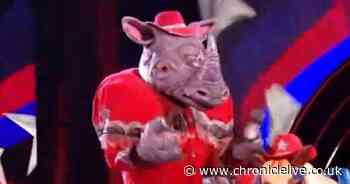 Rhino's Masked Singer guessing game 'over' but star maintains silence