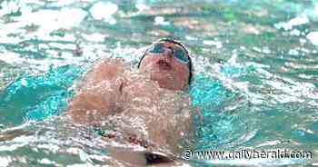 Boys swimming: Cary-Grove co-op wins another FVC championship