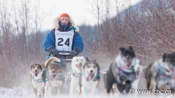 The 2023 Yukon Quest dog sled race is off to a barking good start