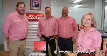 Elders bolsters wool and livestock team