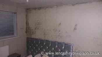Tenant speaks out over extensive damp after ‘years of complaints’