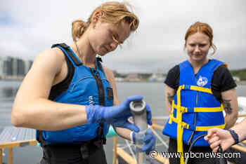 Can giving the ocean an antacid help curb climate change?