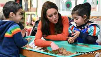 The royals have their causes, but how much difference can they make?