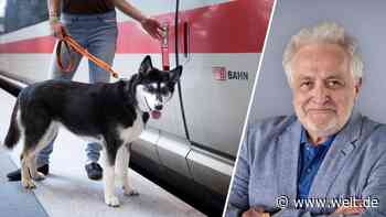 Hunde können Tickets jetzt online buchen – Deutschland ist noch nicht verloren