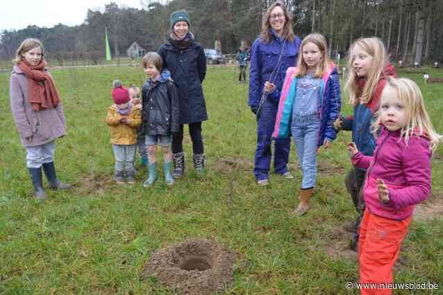 Boeren zetten protestkruisen op perceel waar Natuurpunt groot nieuw bos aanplant