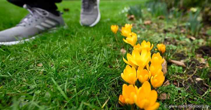 Mildes Wetter erwartet – in einigen Gebieten viel Sonne