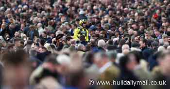 Cheltenham declares 'war on wee' ahead of this year's horse racing festival