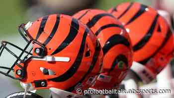 Report: QB coach Dan Pitcher to remain with Bengals