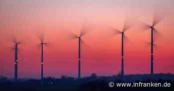 Nabu kritisiert mangelnden Artenschutz bei Windkraft-Ausbau