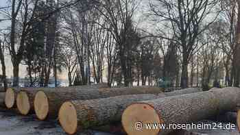 Holzexperten treffen sich in Waging - Eiche wieder Verkaufsschlager