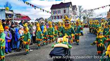 40 Jahre Narrenzunft: Sonne strahlt beim Umzug in Vollmaringen