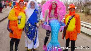 Bunter Faschingszug begeistert ganz Rohrdorf