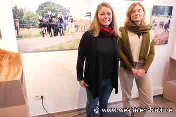 Neue Ausstellung mit Pferdebildern in Brakel eröffnet