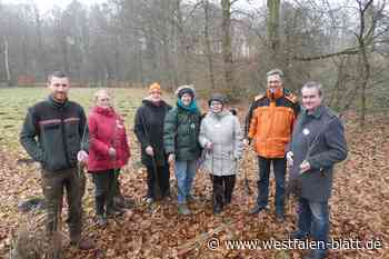 Paderborn: Jugendgruppen pflanzen Ausgleichsfläche an den Fischteichen