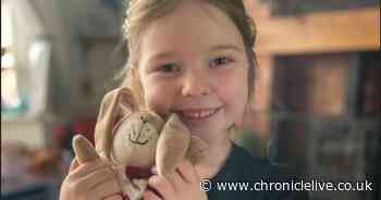 Little girl's lost cuddly bunny has 'adventure' around Seaton Delaval Hall before being reunited