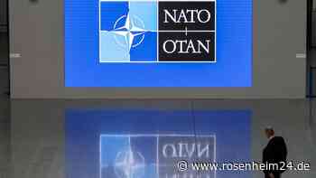 Nato bestätigt Angriff auf Websites