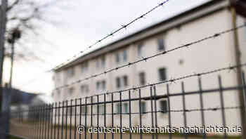 Landräte schlagen Alarm: „Führt Ausreisepflichtige zurück!“