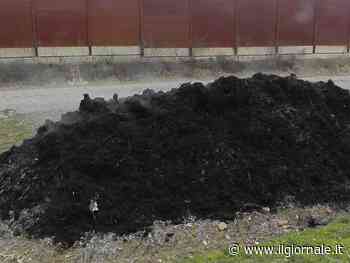 Ideologia ambientalista pure sui funerali: proposta di legge in Francia