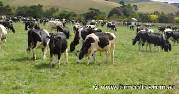 Getting back to pasture key to reversing dairy industry decline