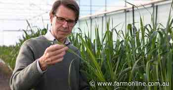 Devastating fungal pathogen in plant researchers' sights