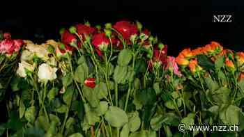 Am Valentinstag werden in der Schweiz vier Millionen Rosen verschenkt. Vorher legen sie eine lange Reise zurück