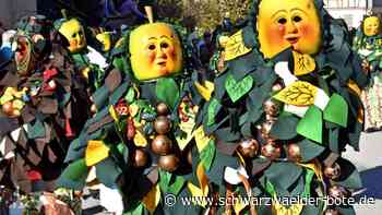 11./12. Februar: Das war am Wochenende in der Region los