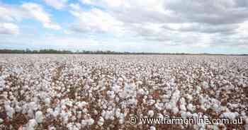 Government data reveals cotton contribution to rural and regional communities