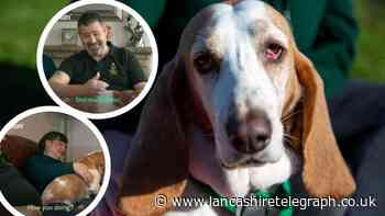 C4 show The Dog House transforms Blackburn couple's life