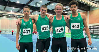 Titel, DM-Qualis und Bestleistungen