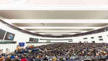 Viele EU-Abgeordnete schlampen bei Transparenz