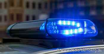 Katze mit Luftgewehr verletzt