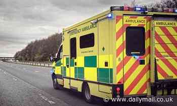 How 'virtual wards' may only be staffed 12 hours a day