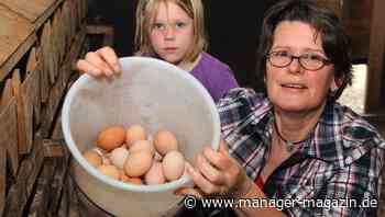 Preise in der Landwirtschaft klettern im Rekordtempo