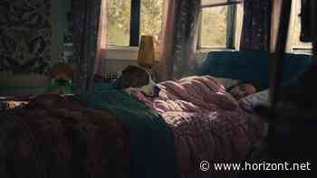 Super Bowl: Amazon und Farmer's Dog erobern die Herzen mit rührendem Hunde-Storytelling