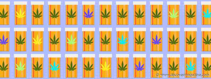 Scientific Highs And Lows Of Cannabinoids