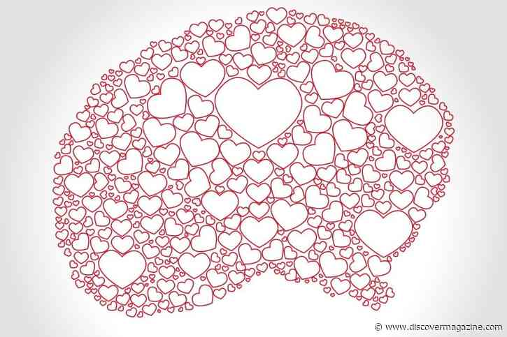 In the Brain, Romantic Love is Basically an Addiction