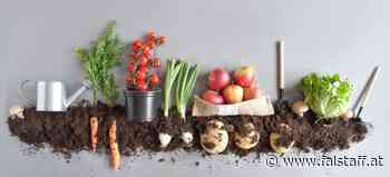 »Bio« oder »Regional« – gibt es ein »Besser«?