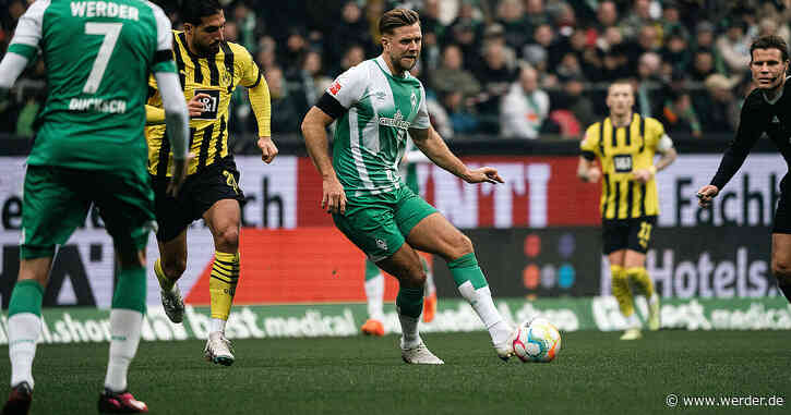 Auktion für die Erdbebenopfer in der Türkei und Syrien