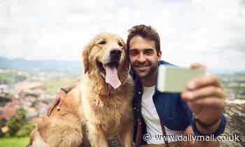 Singletons are more likely to get a date if they feature a DOG in their dating profile 