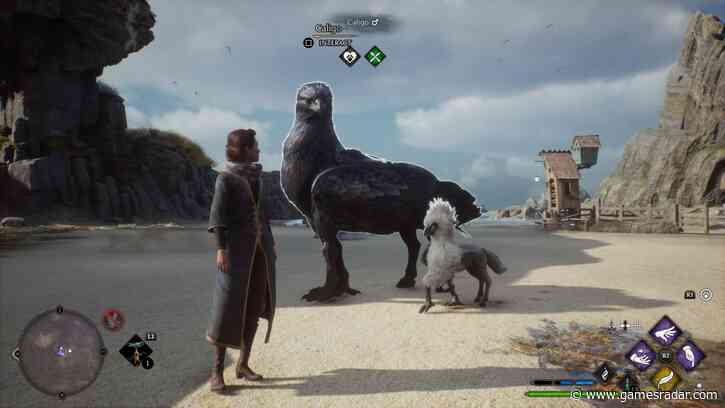 These Hogwarts Legacy money hacks are great ideas if you have no soul