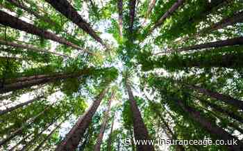 FCA calls for firms to do more on ESG