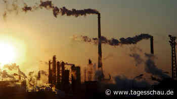 CCRM-Studie: Unternehmen tun zu wenig fürs Klima