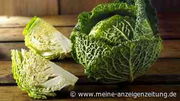 Wirsing roh essen: Lecker im Salat oder Smoothie